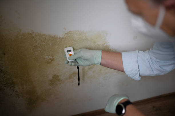 Best Crawl Space Mold Removal  in Huntsville, TX