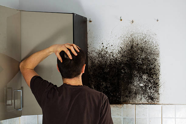 Best Residential Mold Removal  in Huntsville, TX
